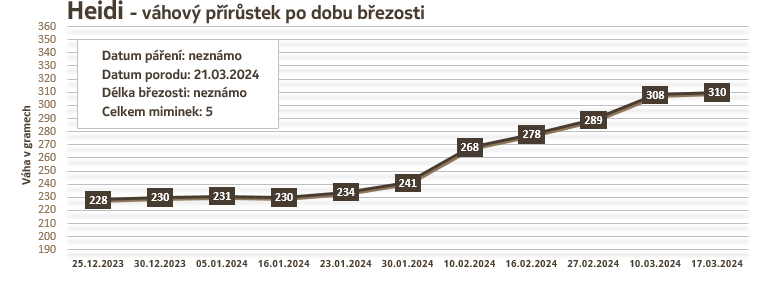 Osmák Degu - Heidi - váhový přírůstek v době březosti