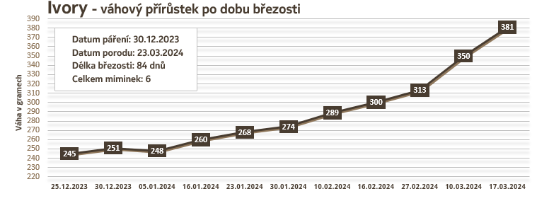 Osmák Degu - Ivory - váhový přírůstek v době březosti