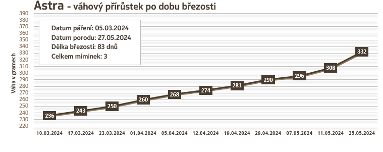 Osmák Degu - Astra - váhový přírůstek v době březosti