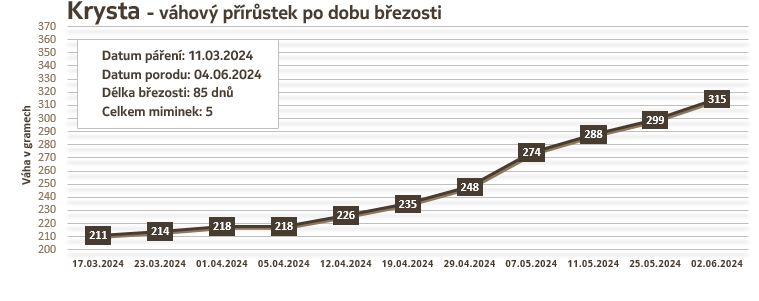 Osmák Degu - Krysta - váhový přírůstek v době březosti