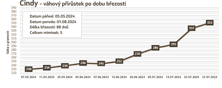 Cindy - Váha 2024