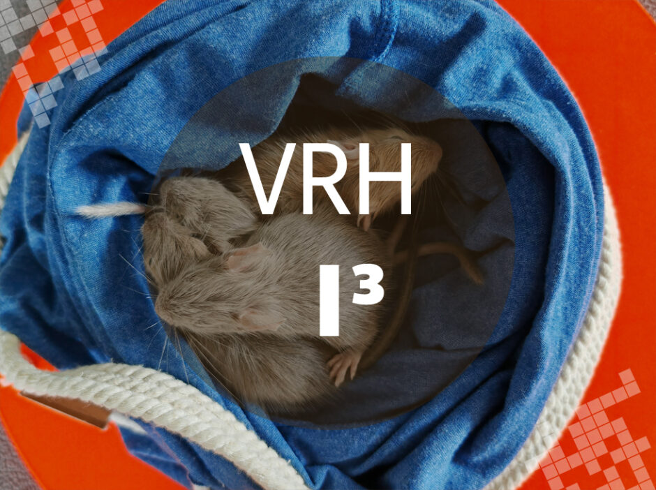 Osmák degu Vrh I³