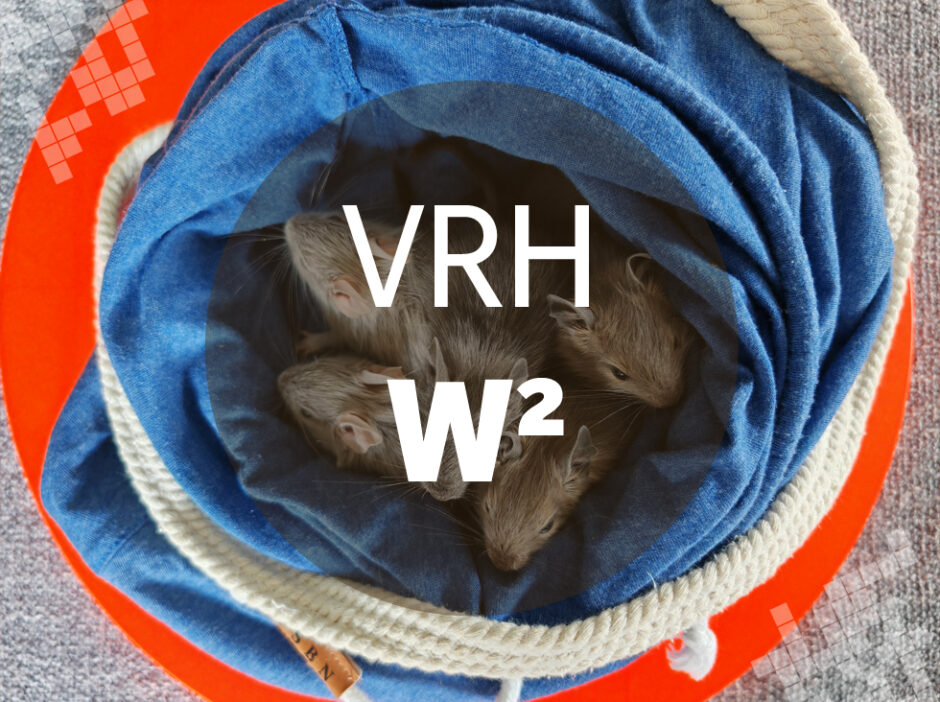 Vrh X2 - Osmák degu