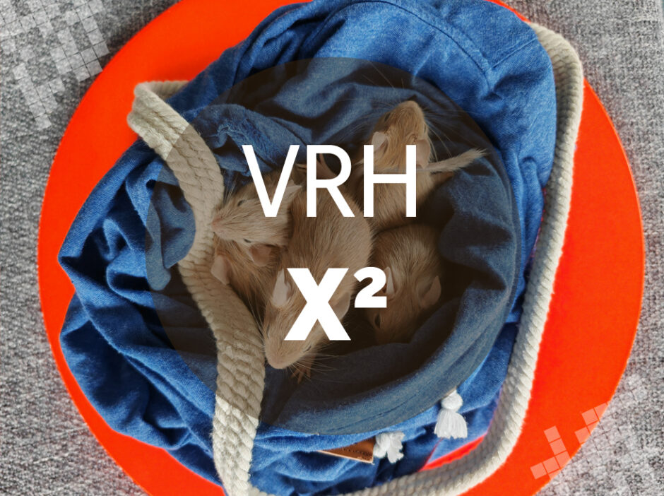 Vrh X2 - Osmák degu