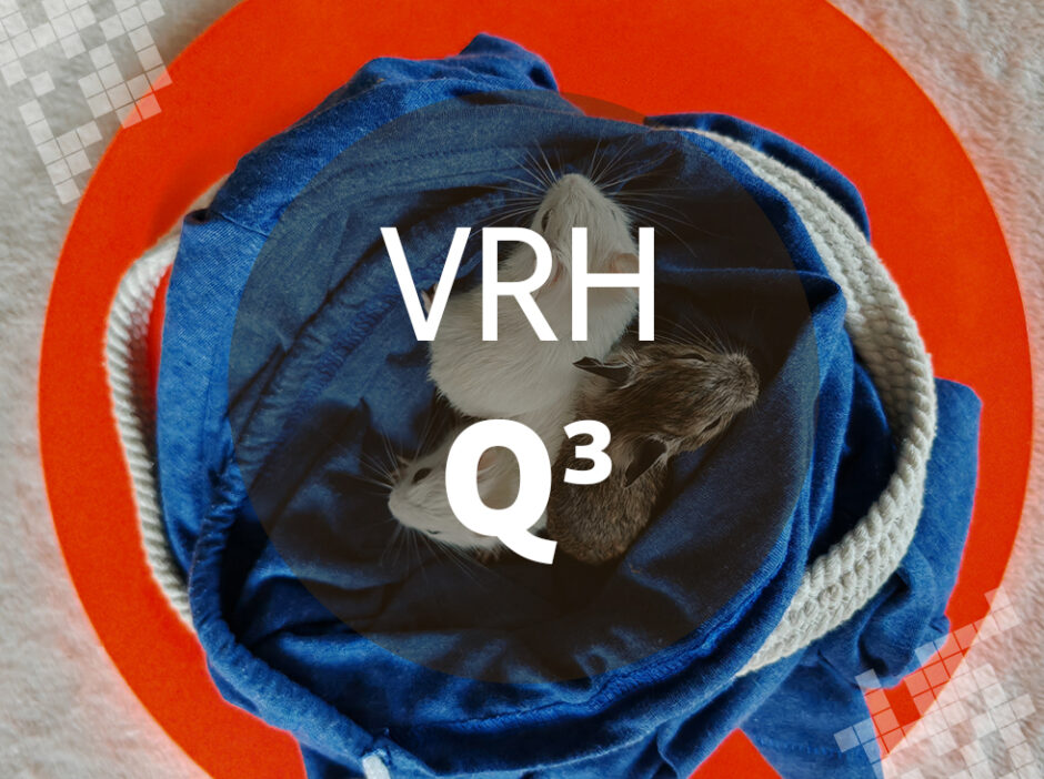Vrh Q3 - Osmák degu